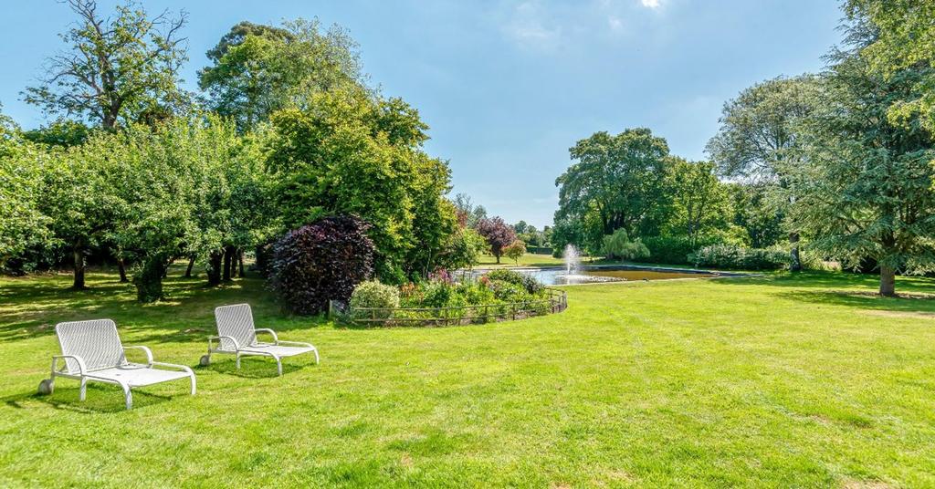 The Grounds