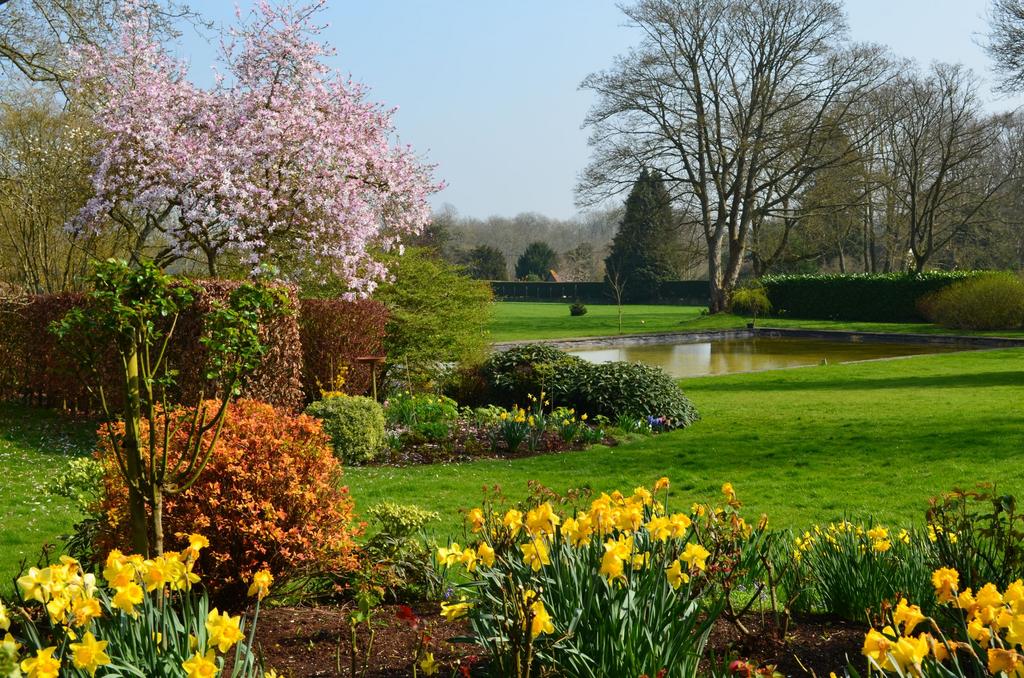 The grounds in Spring