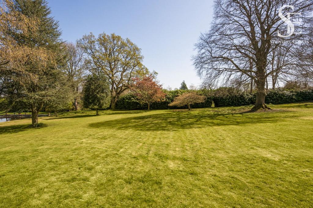 The grounds