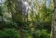 Additional image 6 of Hamilton Terrace, St John's Wood, London, NW8