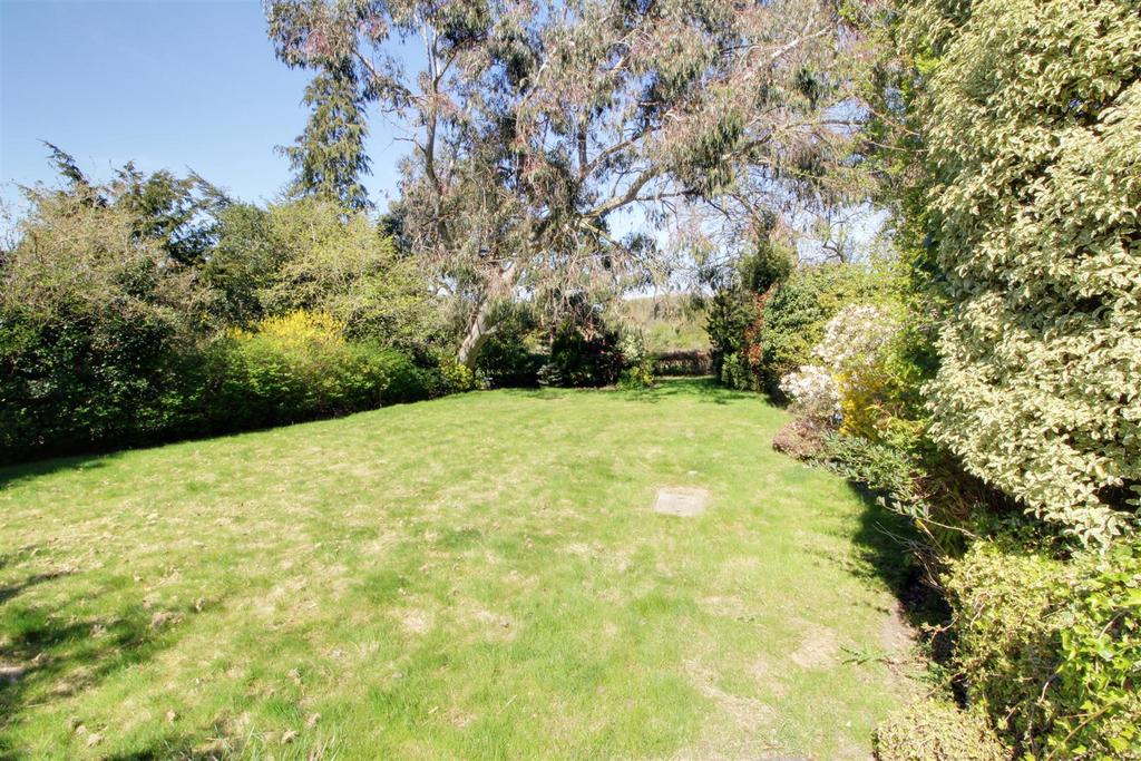 Garden2.jpg