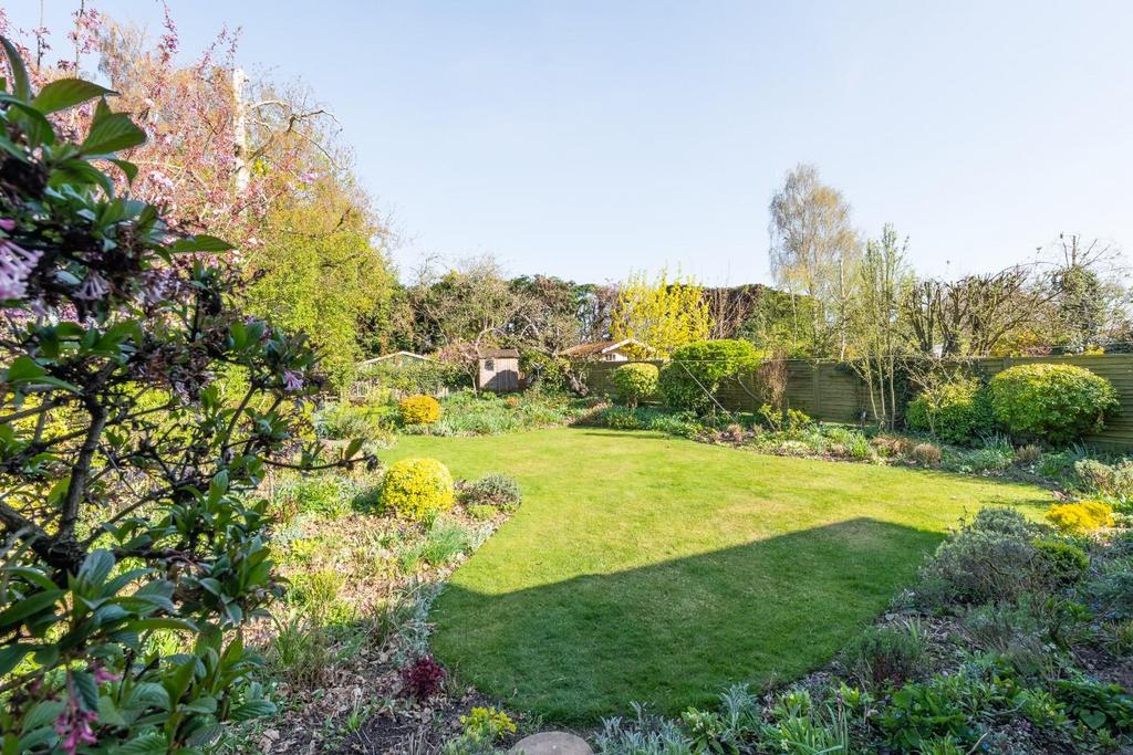 GARDEN-1.jpg