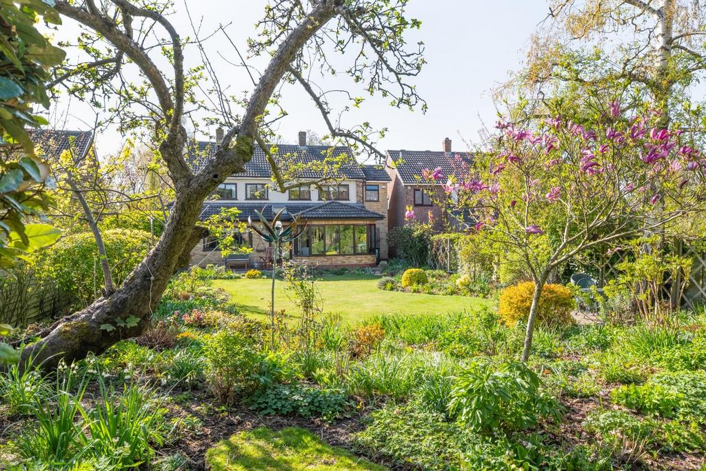 GARDEN-6.jpg