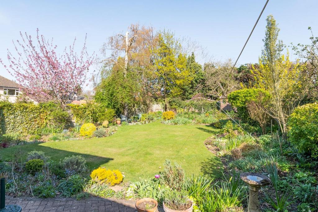 GARDEN-2.jpg