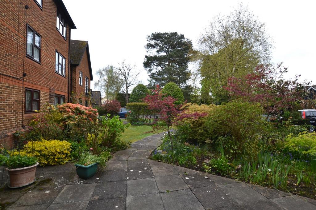 Garden.JPG