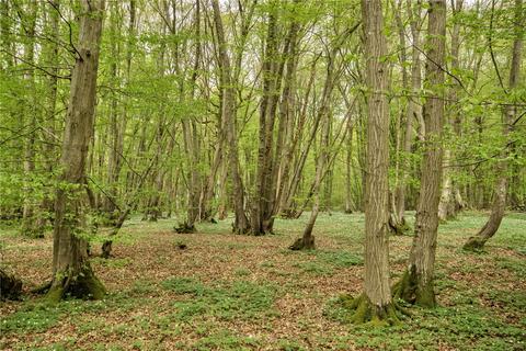 undefined, Doucegrove Lane, Northiam, Rye, East Sussex, TN31