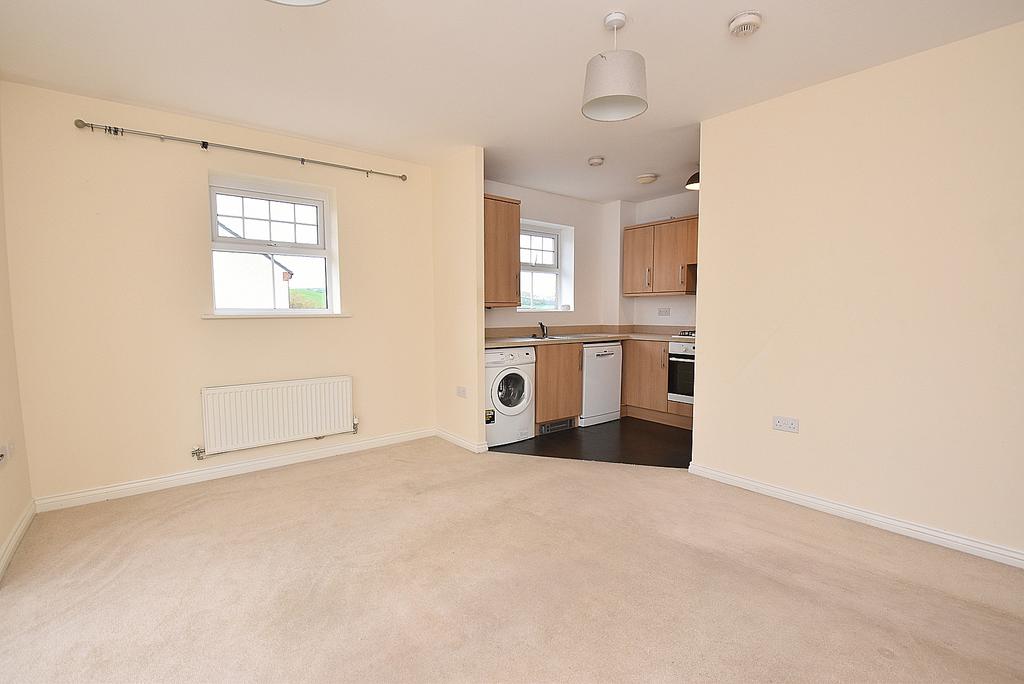 1 1 dsc 2093.jpg