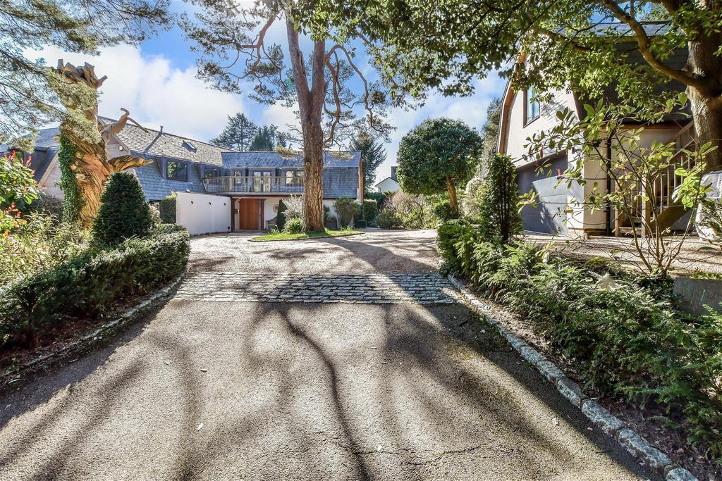 Driveway/Parking