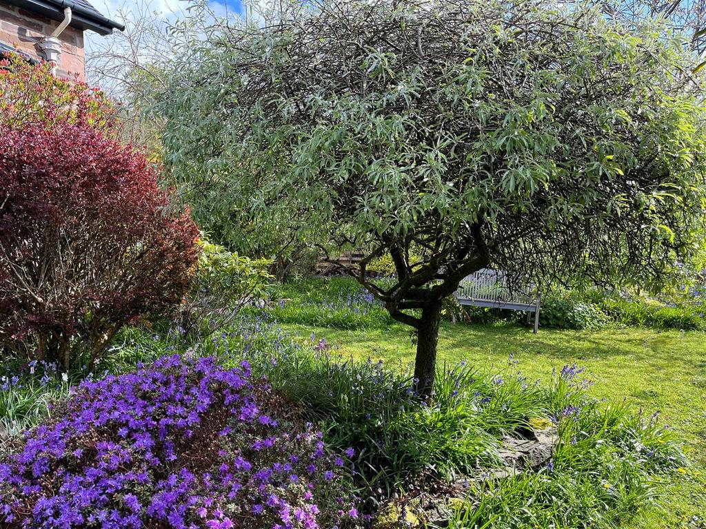 GARDEN CLIENT 3.jpg