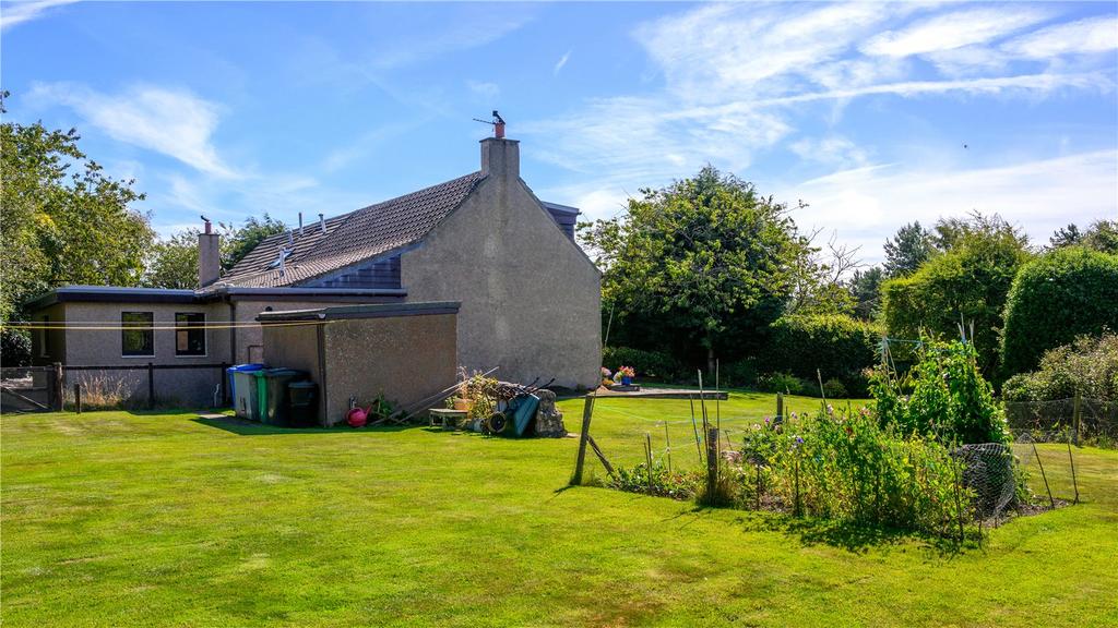Back Of House
