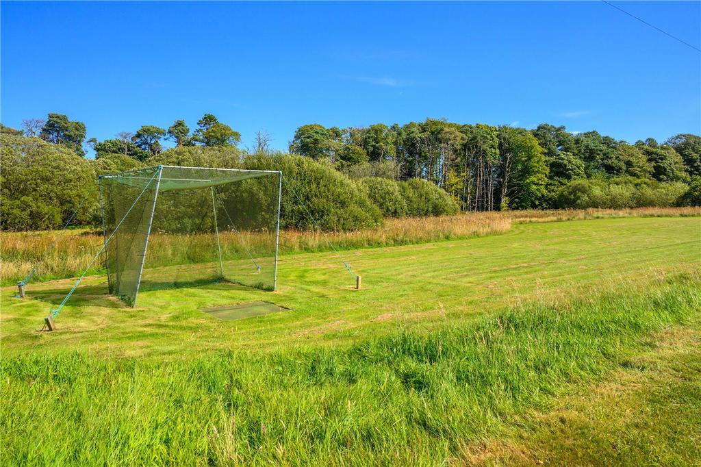 Grassland
