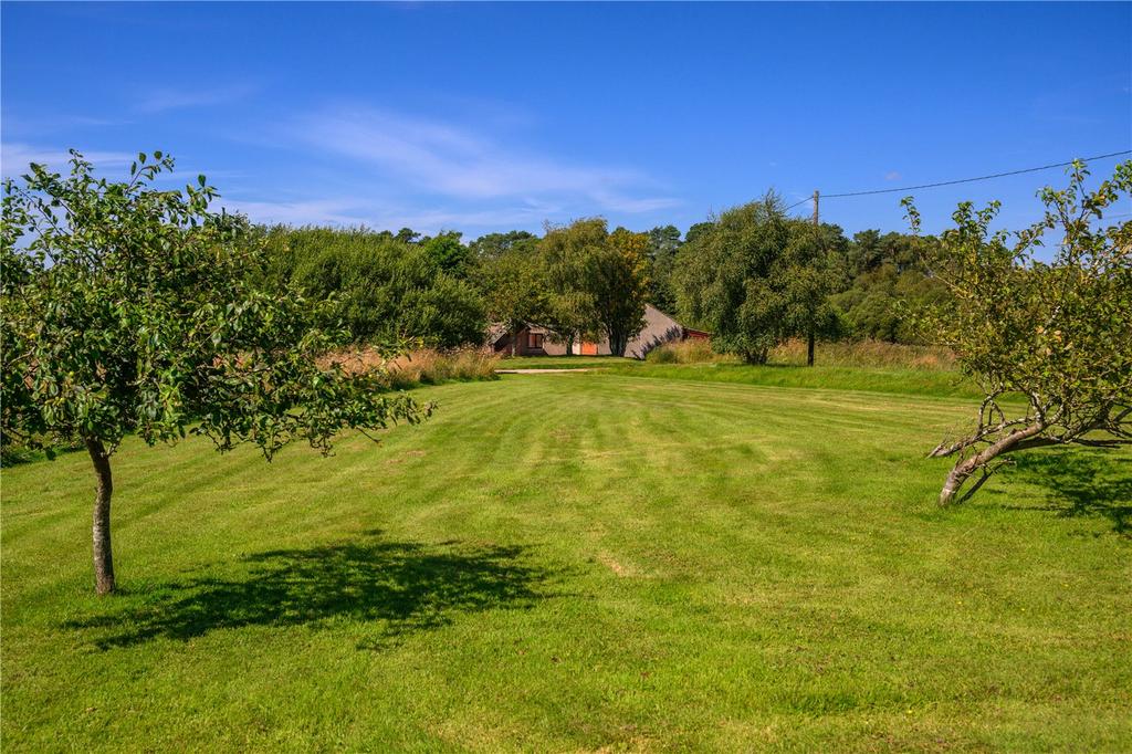 Grassland