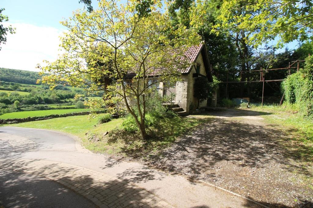 IMG 457 16 large.jpg