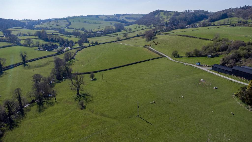 DJI 0625.jpg