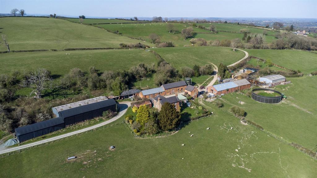 DJI 0628.jpg