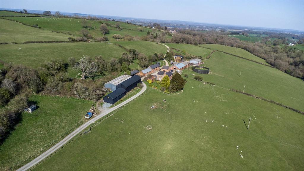 DJI 0644.jpg