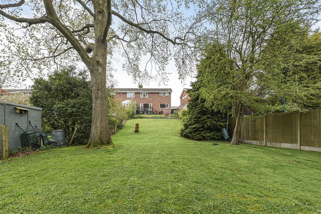 Rear view