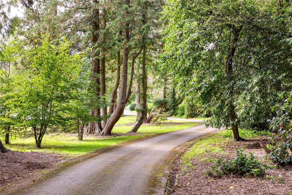 Drive
