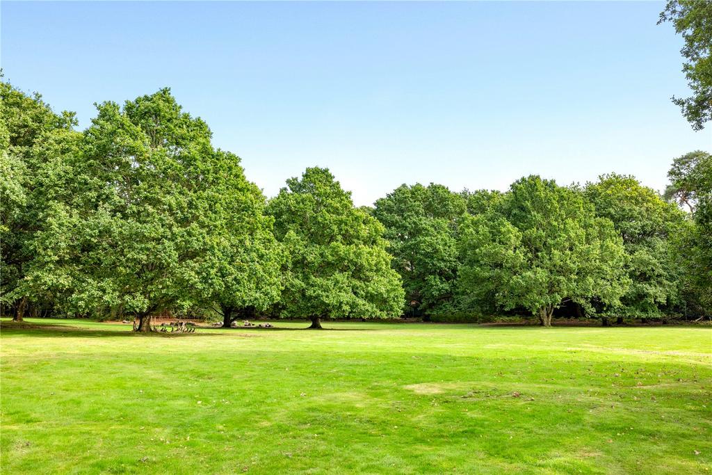 Grounds
