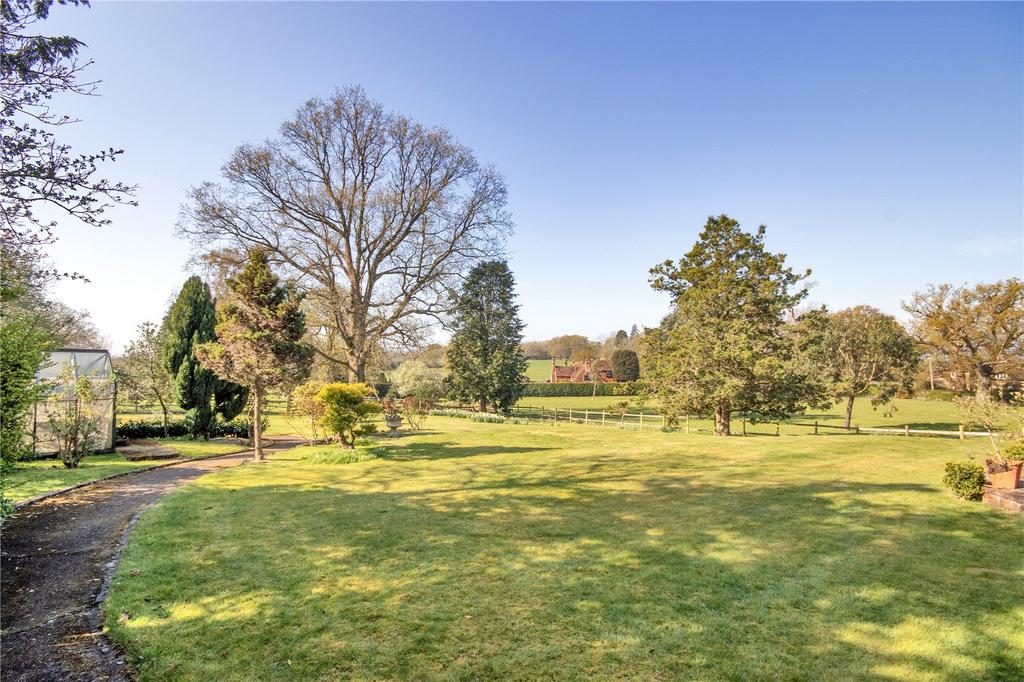 View Over Garden