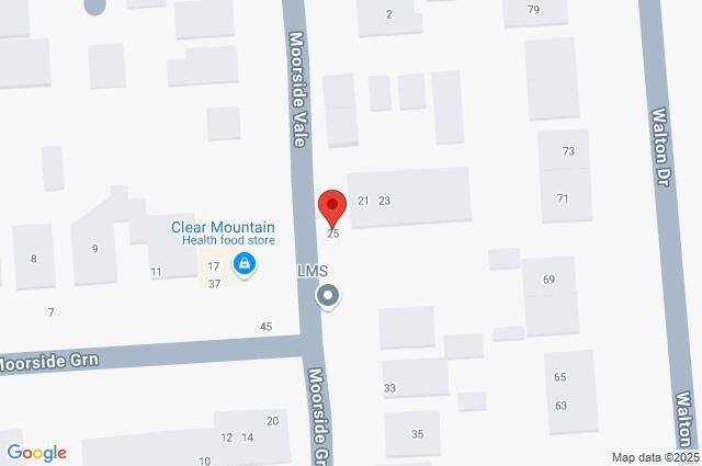 Google Maps Image