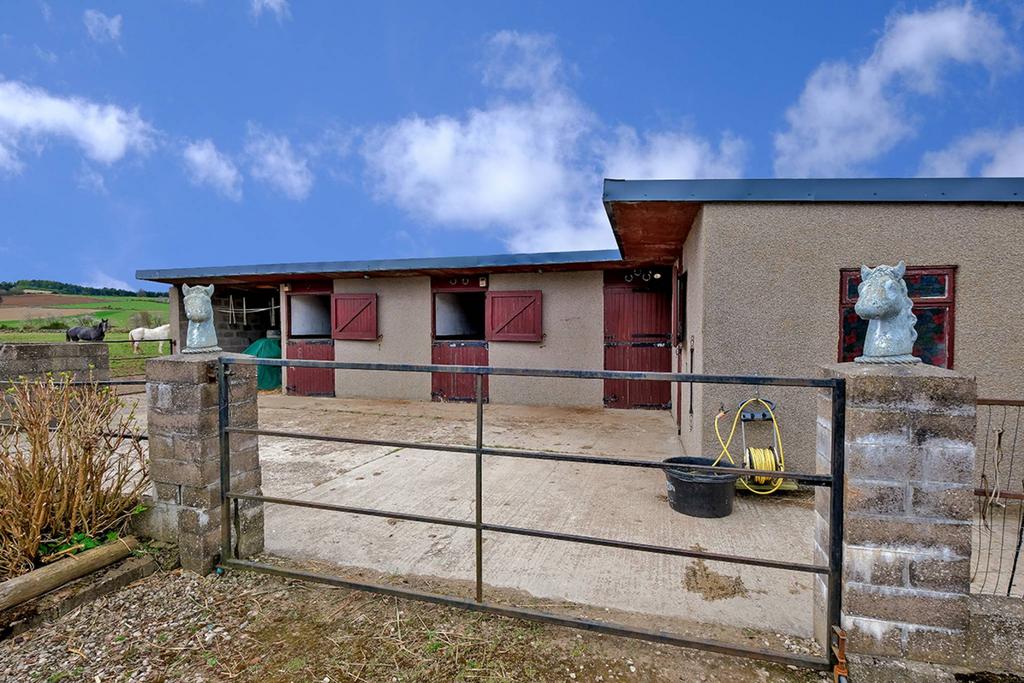 MFL8245444 492.jpg