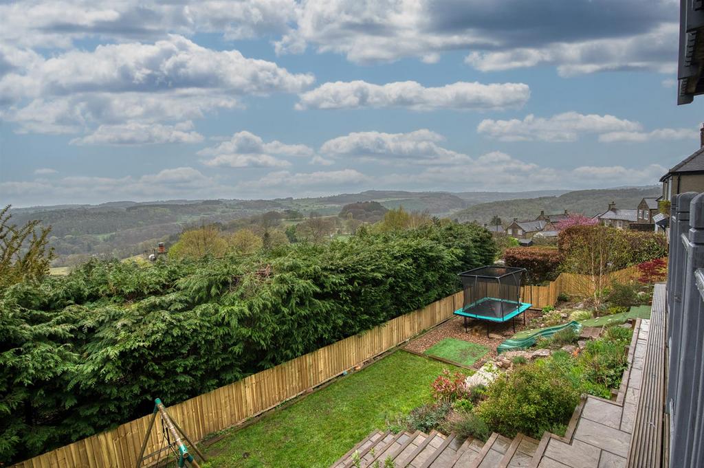 Rear Garden - lawns.jpg