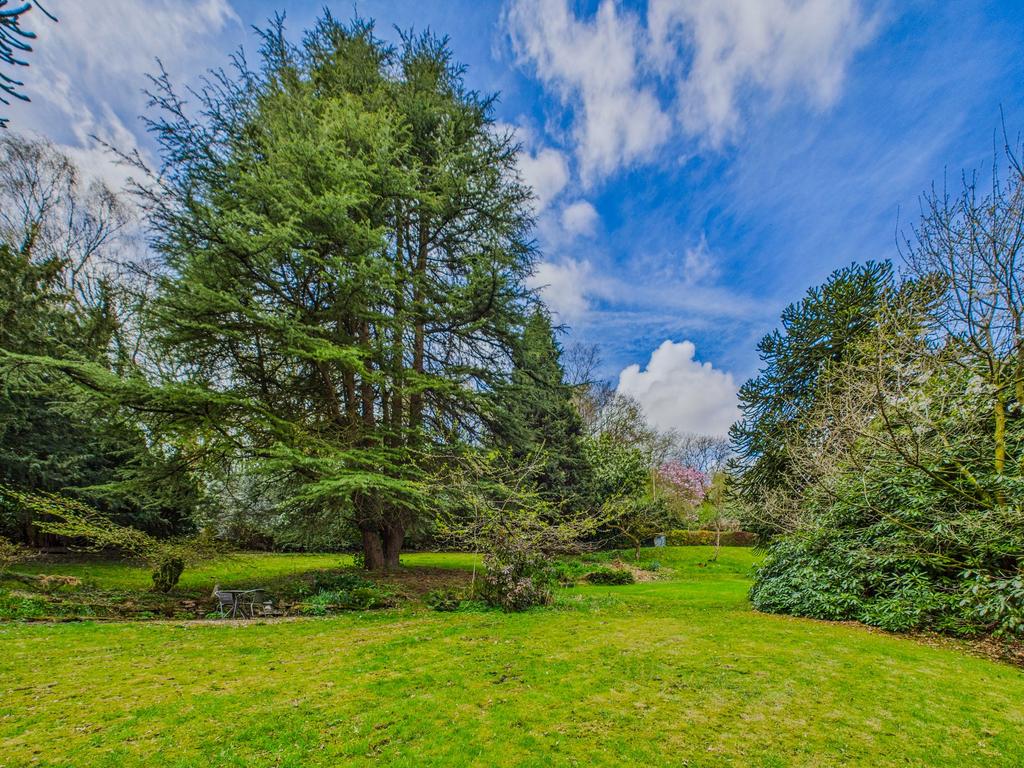 Gardens - Orchard