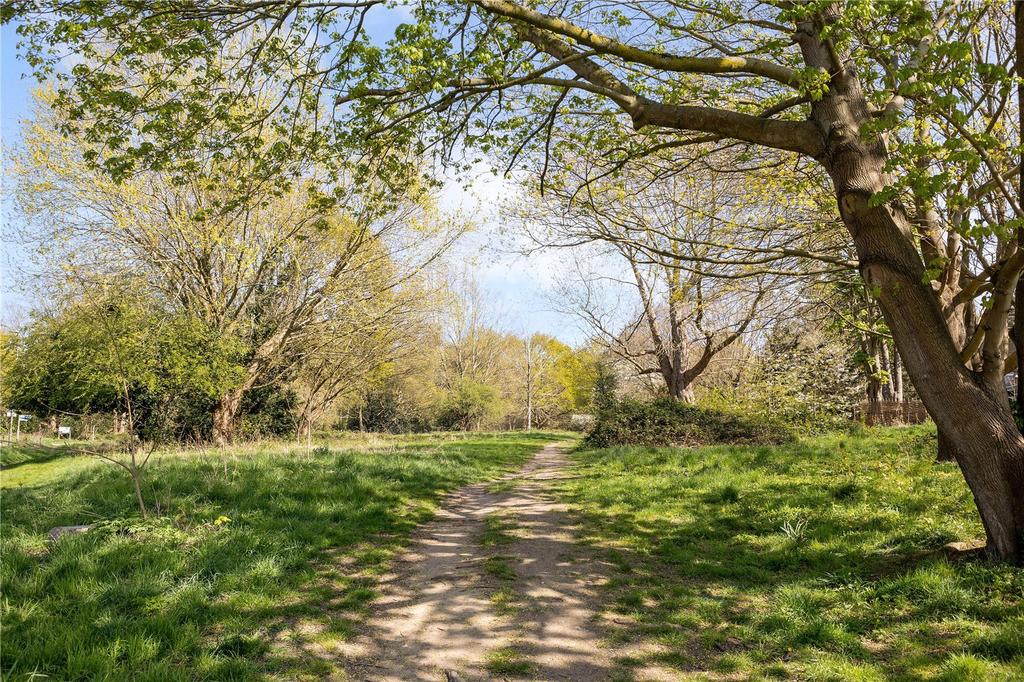 Putney Heath