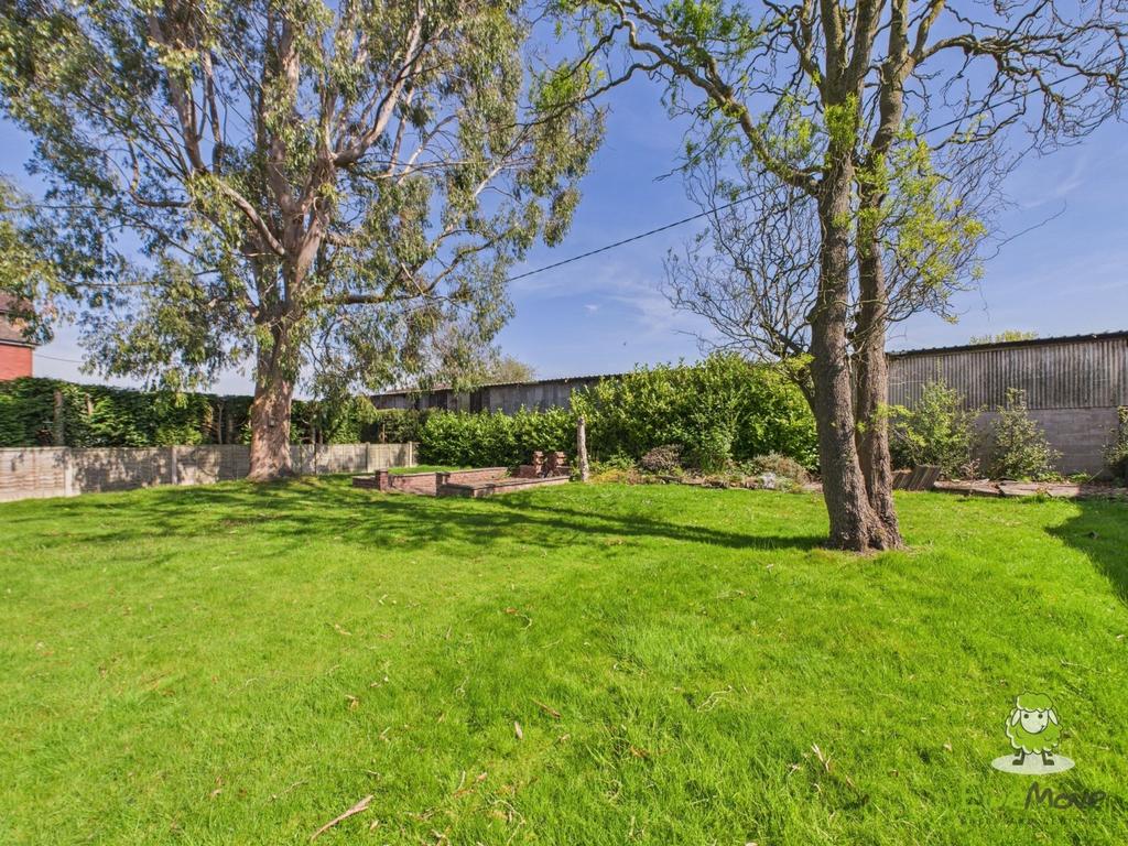 Garden Charlotte Thomasson Ewemove Whitchurch and