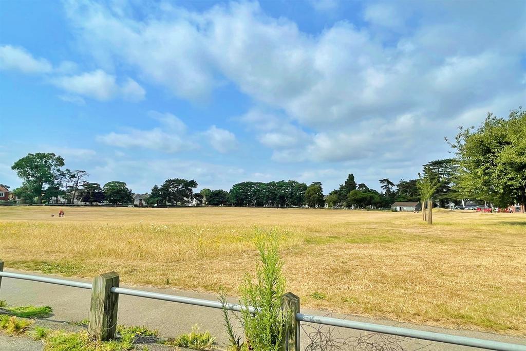 Local Park