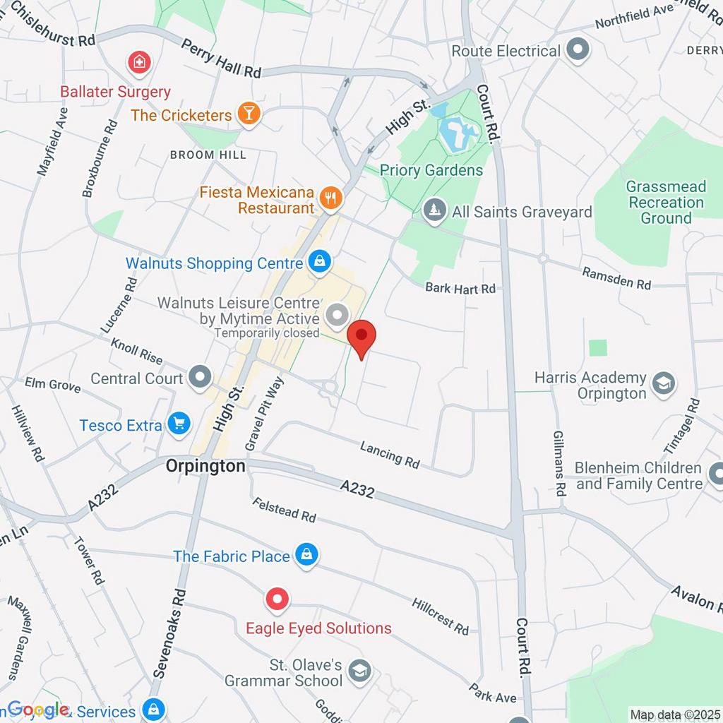 Google Maps Image