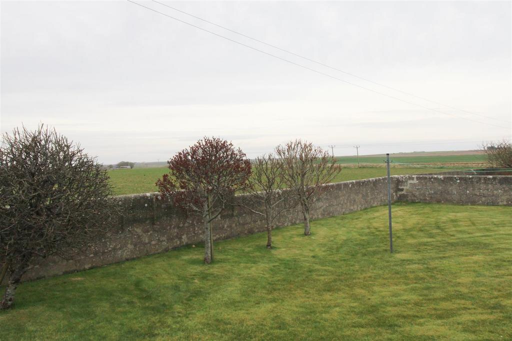 VIEW.jpg