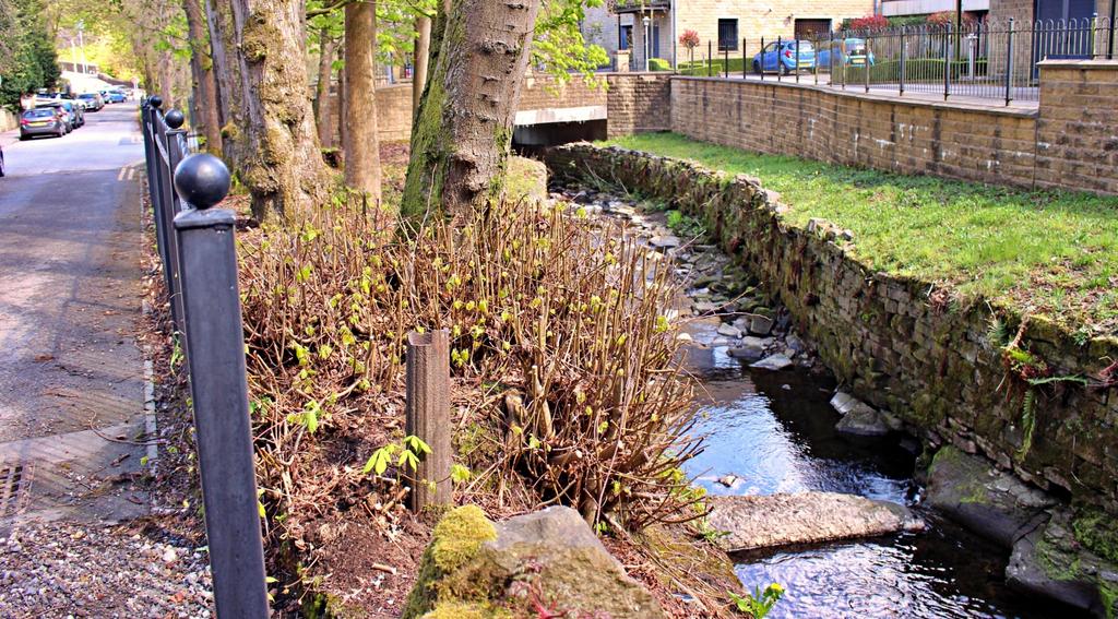 Rear Access and Alden Brook