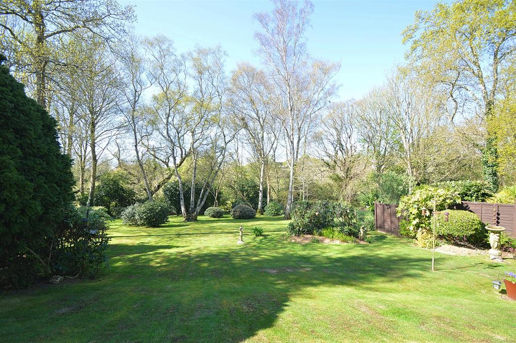 Resized Garden2.jpg