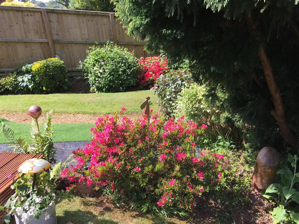 Garden1 (vendor).JPG
