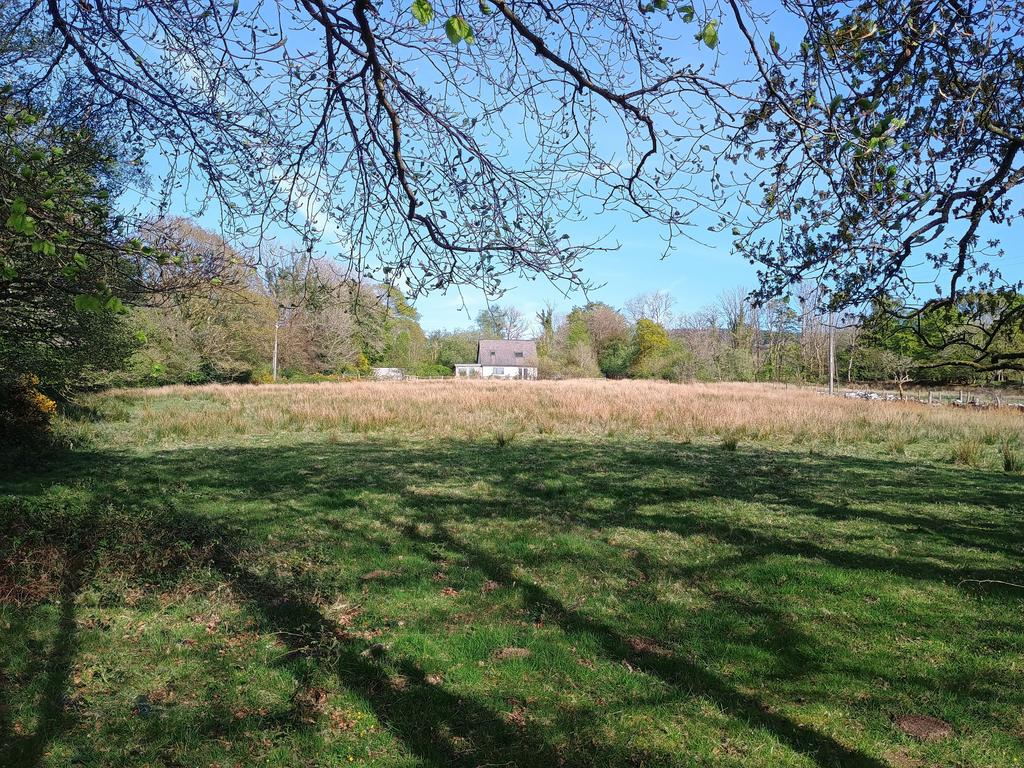 The land