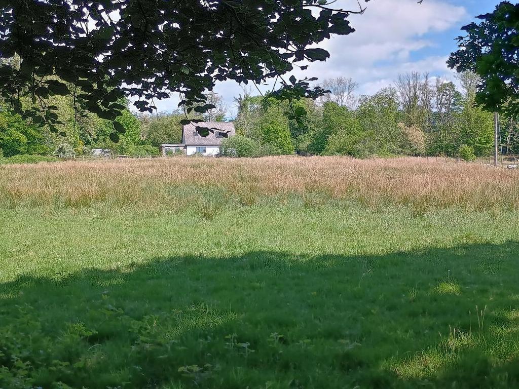 The land
