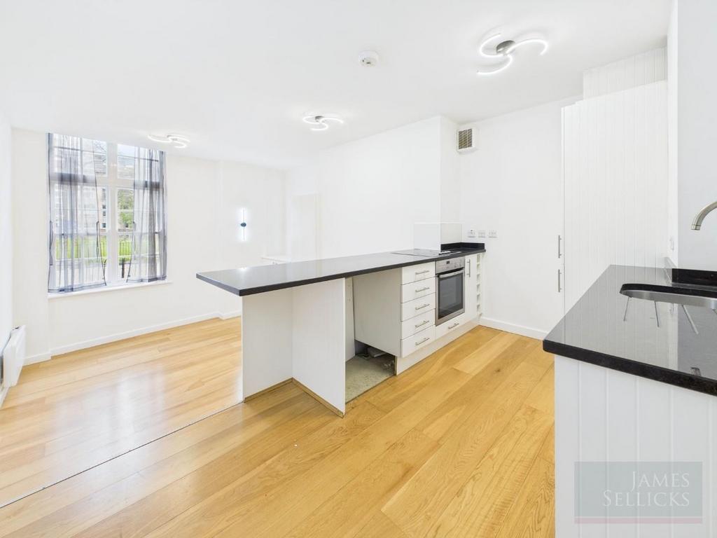 Open plan living/bedroom/kitchen area