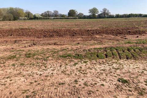 Farm for sale, Land at Kirkenel, Ashford Carbonell