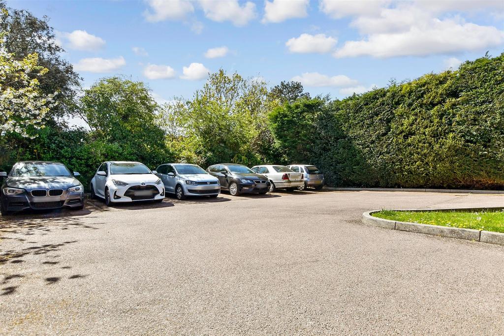 Driveway/Parking