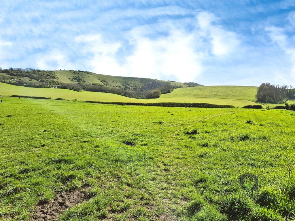 Paragon Fields