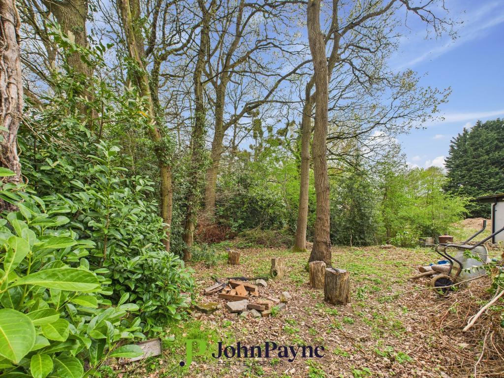 Woodland Garden