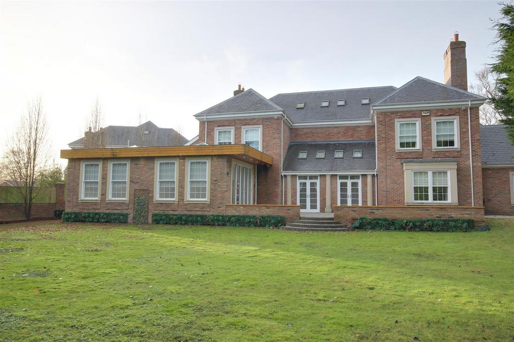 Rear View