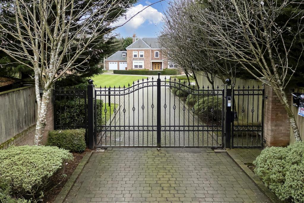 Driveway