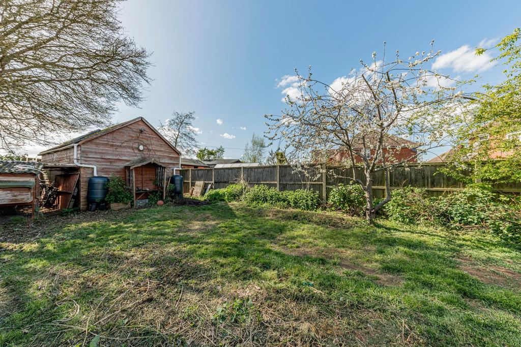 Rear Garden (7)
