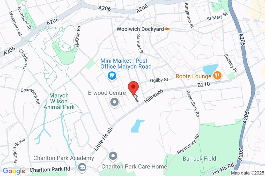 Google Maps Image