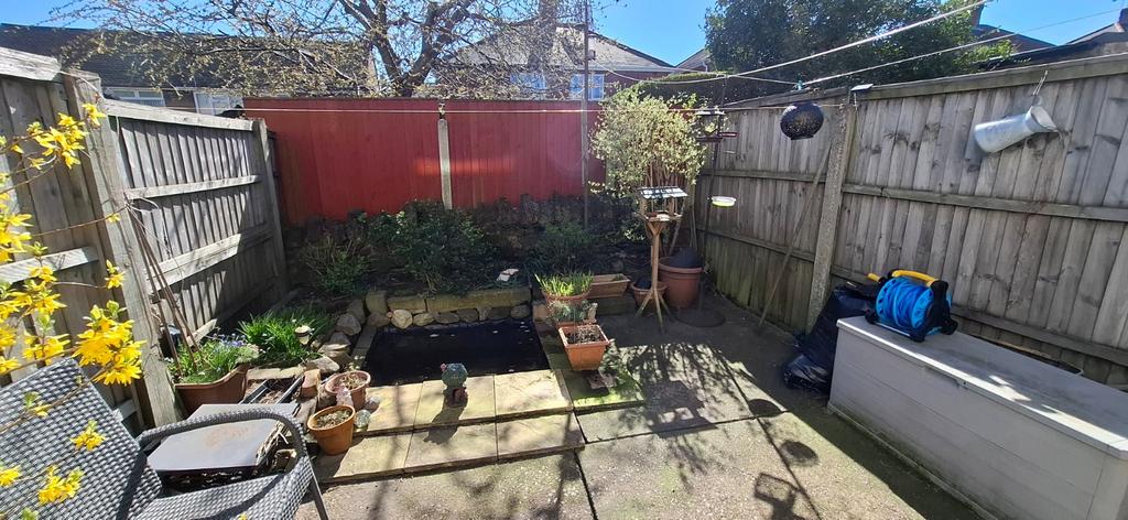 Rear Yard