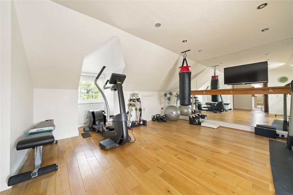 Bedroom/Gym