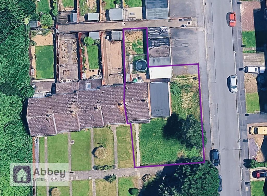 Plot View